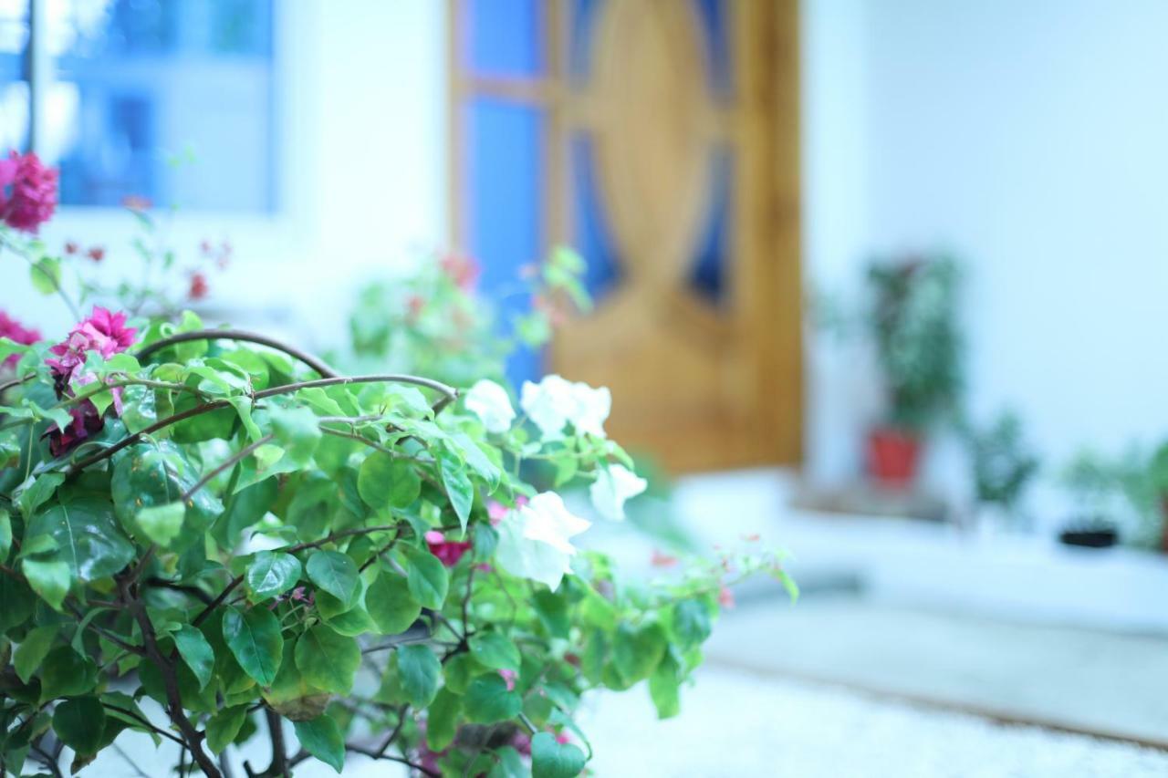 Moodhu Surf House Hotell Himmafushi Exteriör bild